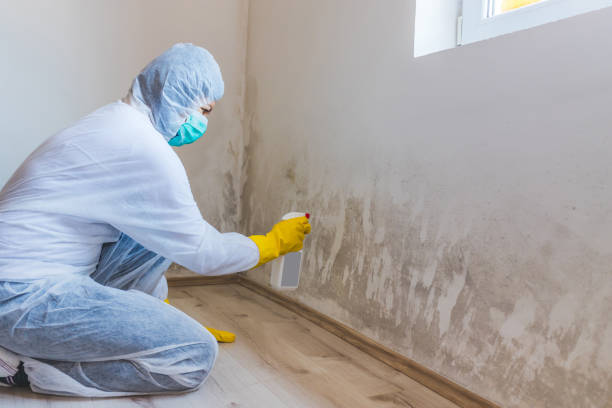 Licensed Bathroom Mold Removal service in Odenton, MD - WQB Mold Removal
