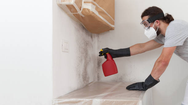 Professional Bathroom Mold Removal technician working in Odenton, MD