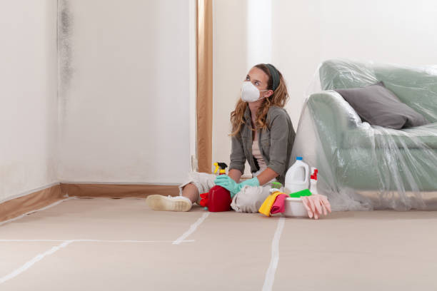 Reliable Bathroom Mold Removal contractor in Odenton, MD by WQB Mold Removal